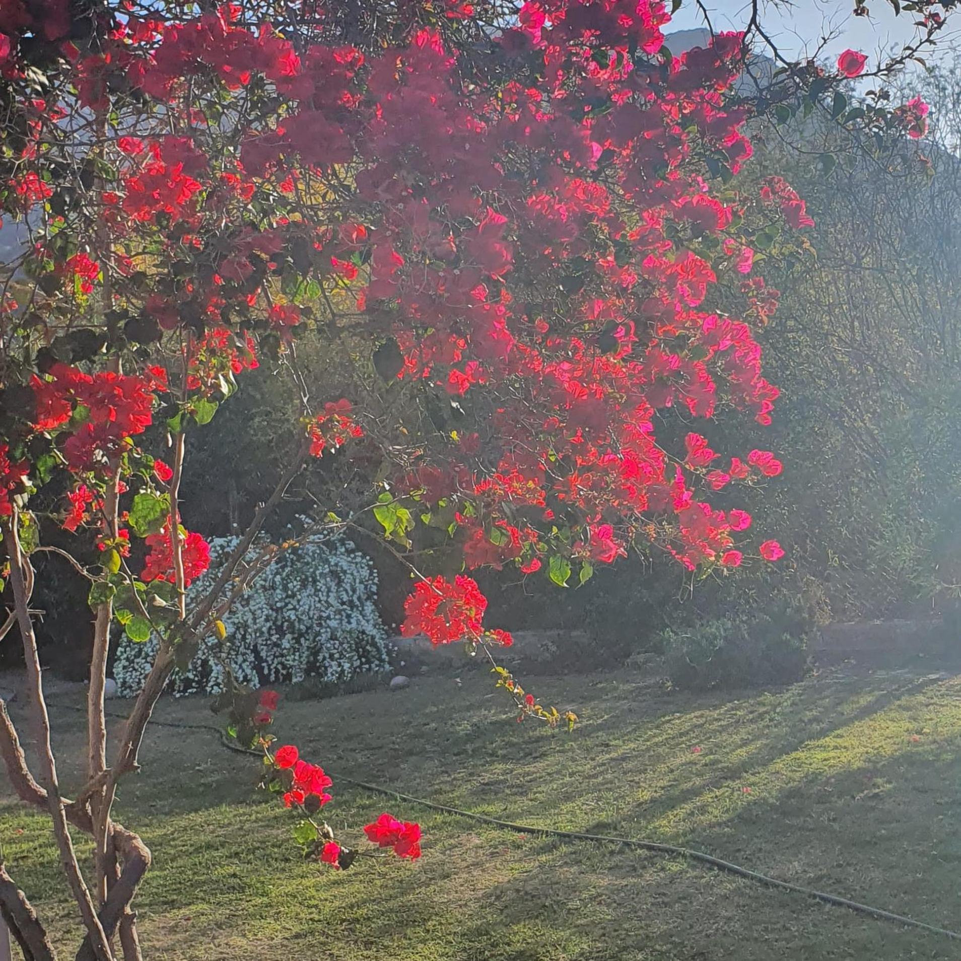Cabana Mis Montanas La Rioja Esterno foto